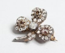 A VERY GOOD DIAMOND SET CLOVER LEAF BROOCH.