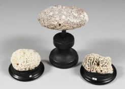 THREE SMALL CORAL SPECIMENS on circular bases.