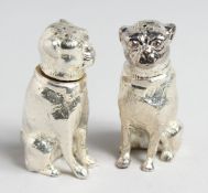 A PAIR OF SILVER PLATED DOG SALT AND PEPPERS.
