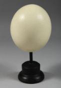 AN OSTRICH EGG, 5.5ins on a wooden stand.