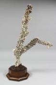 A LARGE CORAL SPECIMEN. 19ins high on a wooden base.