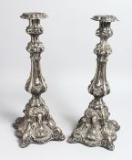 A PAIR OF CONTINENTAL SILVER, ROCCOCO STYLE CANDLESTICKS with shell moulded decoration. 15.5ins