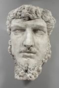 AFTER THE ANTIQUE. A PLASTER HEAD. 14ins long.
