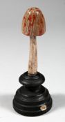 A MUSHROOM SPECIMEN, 4ins high, on a circular base.