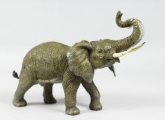 A COLD CAST BRONZE ELEPHANT. 9ins high, 13ins long.