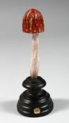 A MUSHROOM SPECIMEN, 4.5ins high, on a circular base.