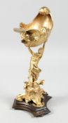 A GOOD GILT BRONZE OF A YOUNG LADY holding a shell. 13ins high.
