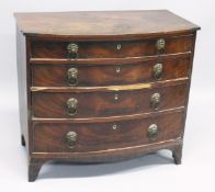 A REGENCY MAHOGANY BOWFRONT CHEST of four graduated drawers, with brass lion ring handles,