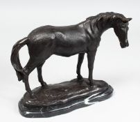 A BRONZE STANDING HORSE on a marble base. 10ins long.