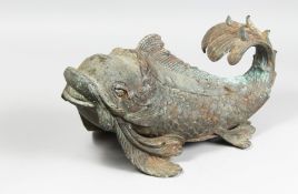 A LARGE BRONZE FISH, CARP, POSSIBLY CHINESE. 17ins long.