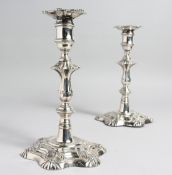 A PAIR OF WILLIAM IV CANDLESTICKS, shell decoration, loaded bases. 8.5ins high. Sheffield, 1833.