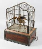 A SUPERB VICTORIAN SINGING BIRD IN A CAGE standing on a branch, the cage 12ins high, on a wooden