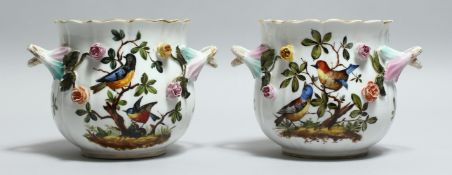 A GOOD PAIR OF DRESDEN PORCELAIN TWO HANDLED CACHE POTS painted and encrusted with birds and