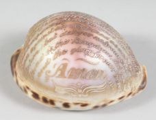 A SHELL carved with the Lord's Prayer. 4ins long.