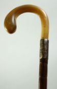 A CHINESE HORN HANDLED WALKING STICK, 89cm.