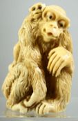 A JAPANESE CARVED IVORY OKIMONO of a monkey with his young, 8cm high.