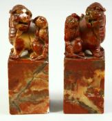 A PAIR OF CHINESE SOAPSTONE SEALS, carved with mirrored lion dogs, 13cm high.