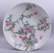 A LARGE CHINESE FAMILLE ROSE PORCELAIN PEACH DISH, painted with peach blossom and bats, with six