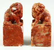 A PAIR OF CHINESE SOAPSTONE SEALS, carved with mirrored lion dogs, 10.5cm high.