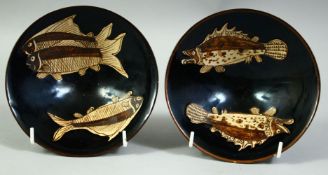 A PAIR OF CHINESE BLACK GROUND JIAN WARE BOWLS, the interior decorated with fish, 15cm diameter.