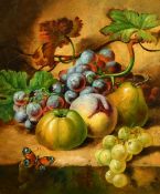 19th Century, Still life of mixed fruit with a butterfly, oil on canvas, 12