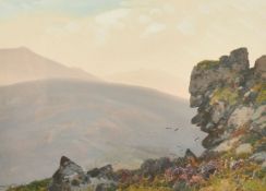 Frederick John Widgery (1861-1942) British, 'Black Grouse, Dartmoor', watercolour, signed and