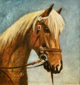 A study of a horse head, oil on board, indistinctly signed and dated 1956, 9