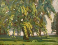 John Brown (20th Century) A group of trees, oil on board, 13