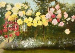 20th Century, Pink, red and yellow roses in a garden border, oil on board, 14