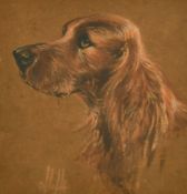 Olive Cliffe (fl. 1920s to 1940's) Head study of a Red Setter, body colour, signed, 5