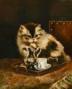 19th Century English School, a kitten licking his paw by a cream jug, oil on canvas, 12