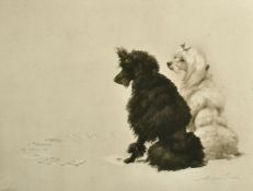 Maud Earl (1864-1943) British, Two Poodles seated, a photogravure, signed in pencil, 11.25