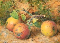 William B. Hough (1819-1897) British, a still life of apples on a mossy bank, watercolour, signed,
