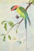 A collection of natural history prints and a few watercolours, mostly flowers and birds, from 8