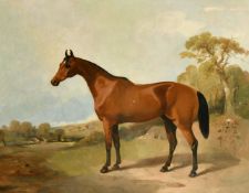 19th Century, A horse standing in a rural landscape, oil on canvas, 22