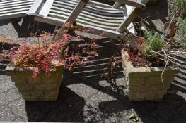 Two garden planters with plants.