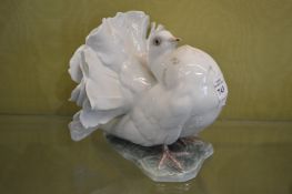 A Rosenthal porcelain model of a dove.