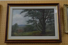 Rural landscape oil on canvas.