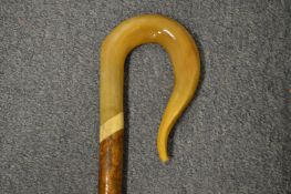 A shepherd's crook.