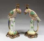 A GOOD PAIR OF CONTINENTAL PORCELAIN AND GILT METAL PARROT CANDLESTICKS. 17ins high.