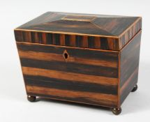 A GOOD REGENCY COROMANDEL, TWO SECTION TEA CADDY on bun feet. 7ins long.