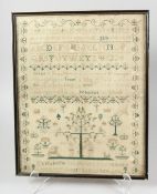 A 19TH CENTURY FRAMED AND GLAZED SAMPLER, ELIZ. TAYLOR, AGED 12. 17ins x 13ins