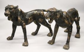 A VERY GOOD LARGE PAIR OF BRONZE TIGERS. 46 inches nose to tail