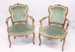 A GOOD PAIR OF FRENCH BEECHWOOD ARMCHAIRS with padded arms and seats, on curving legs.