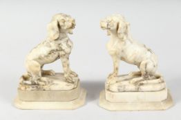 A PAIR OF 19TH CENTURY, AFTER THE ANTIQUE, ALABASTER DOGS on plinths. 6ins
