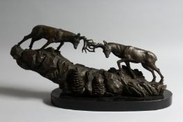 A PAIR OF BRONZE RUTTING STAGS on a rocky base. 19ins long on a marble plinth.
