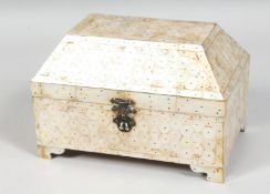 AN INDIAN GOA MOTHER OF PEARL CASKET, with hinged lid and raised on four bracket feet, 20cm wide.