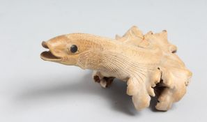 A JAPANESE CARVED WOOD FIGURE OF A FIGHTING FISH, fungus wood carving with naturalistic base, 18.5cm