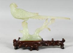 A CHINESE CARVED JADE MODEL OF A PHEASANT on a fitted hardwood stand. 21cm long
