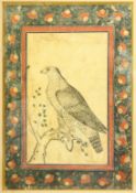 AN INDIAN MINIATURE PICTURE of an eagle, framed and glazed. Image 29cm x 20cm